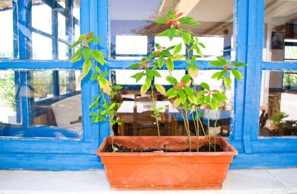 Coral Hotel Frangocastelo Ngoại thất bức ảnh